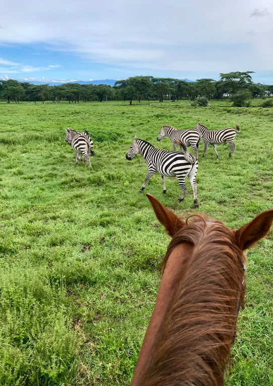 Diani Beach guided coastal escapes by Heritawi Safaris