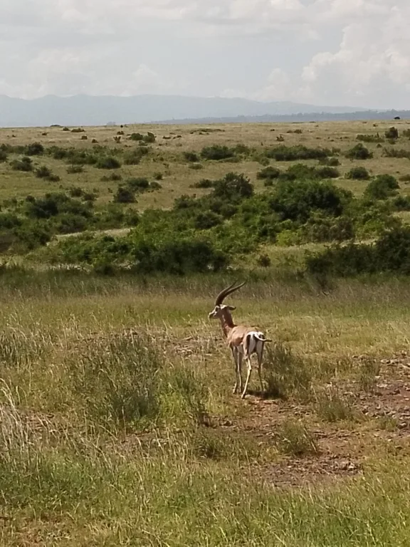 Arusha National Park Explorer | Heritawi Safaris