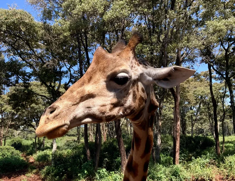 Heritawi Safaris field image: FaXtYEQzDziVVQuDWq5e6qLSYZchzuReyAtrQ3rf