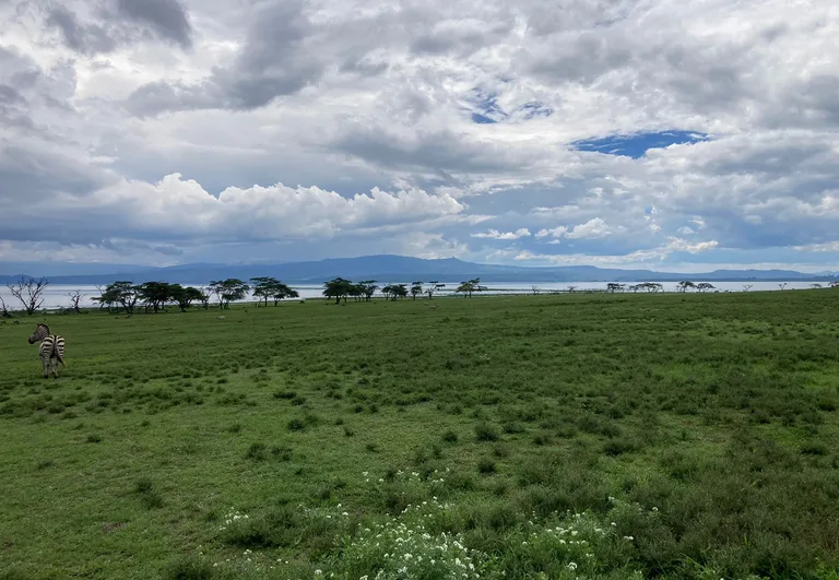 Heritawi Safaris field image: JUdB7OC1SeRrGQ8hBv7gtRyYfnD0FEYd7G9LPrHC
