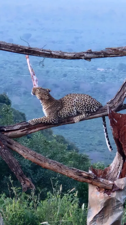 Heritawi Safaris field image: K8wZW0hiQYuFCEsDF2fpMgPzB4fL0z6Ma06XuVvc