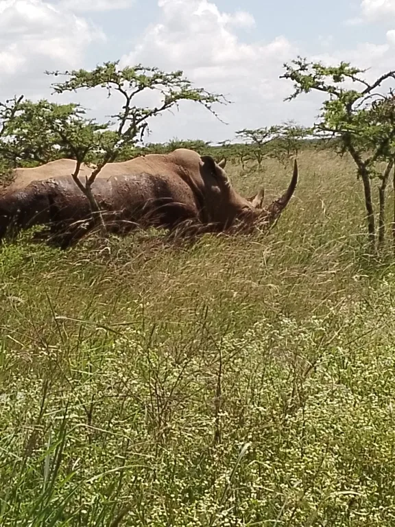 Ngorongoro Conservation Area Explorer | Heritawi Safaris