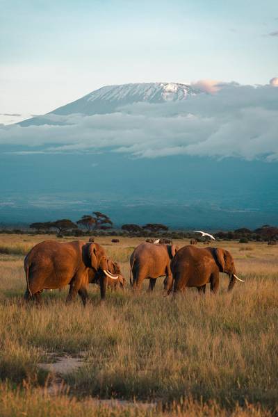 Heritawi Safaris field image: 6a1Su4HVXttnpRC8Mrek6cM1Y3nW7QCEMGdlCxJt