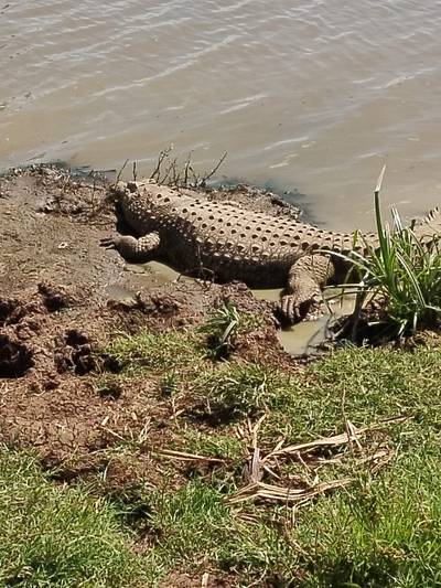 Heritawi Safaris field image: FIomuwoPcHmQekCBKF61IBqOHbsDgcEdgHhKnqqo