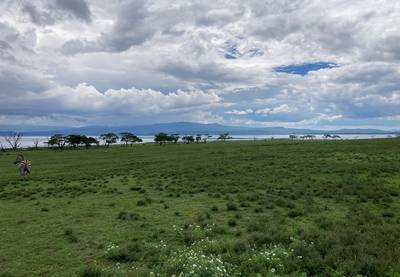 Mount Kenya National Park
