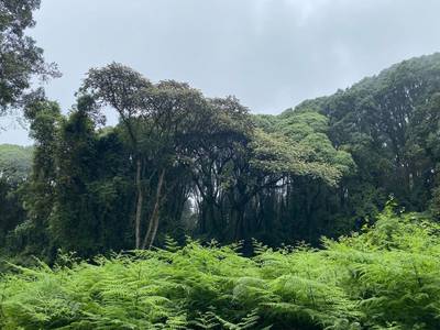 Nairobi National Park