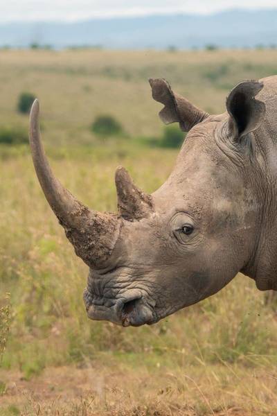 Heritawi Safaris field image: OhwEvXNPm0xFnlIEu7TlwL8fyTvXC0XL2YDMHEQg