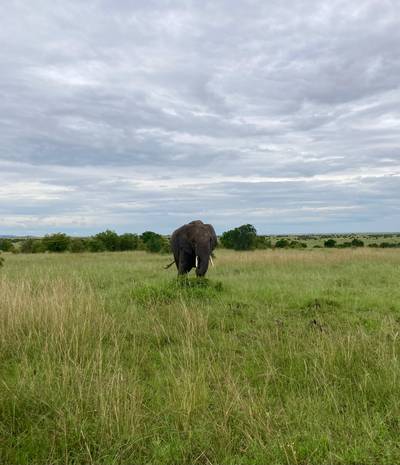 Heritawi Safaris field image: QzA3smbETkcU6SXeumw3zXZLr6q7sbLQwiWQBh4S