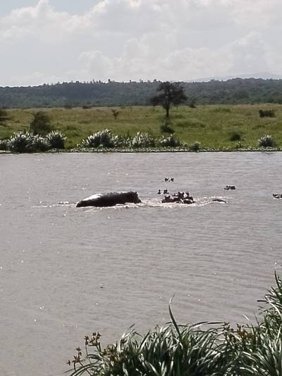 Serengeti National Park