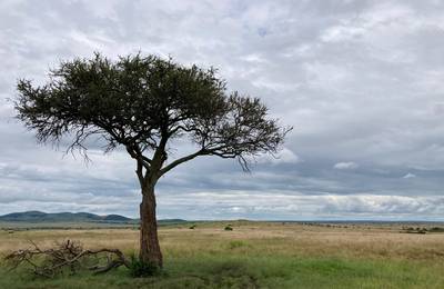 Heritawi Safaris field image: zWFKapMe1CcT2e1XLsWIkTqZC3ZGCJ6Rb4Y9uZY9