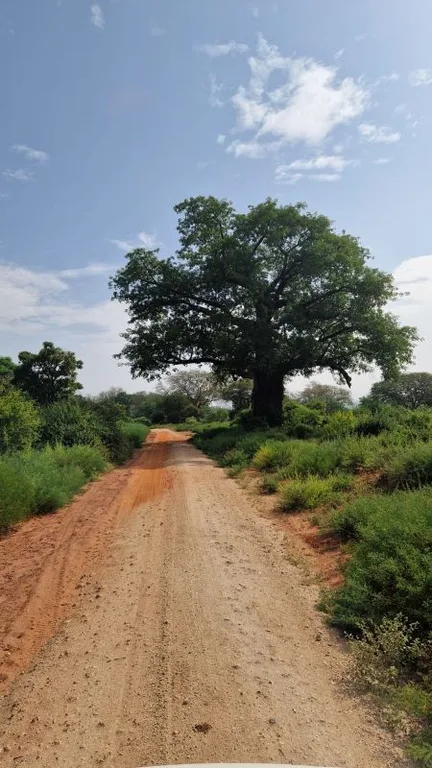 Heritawi Safaris field image: dfJ7VbBmCa3DsOC3RYlBkYyukqiHGWnsq3E2f4OK