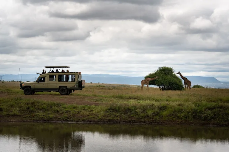 Heritawi Safaris field image: kiaIM7p5bZVs8x4XwIxTl8FIld49WiXXrEkklM5r