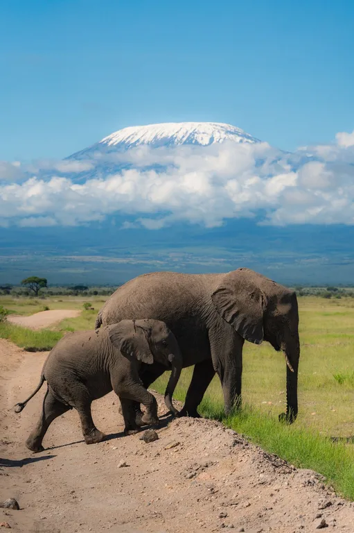 Heritawi Safaris field image: l37OOtR4dFRA2sv30Z1RbjnQPKmVxXsqRMu2w67m