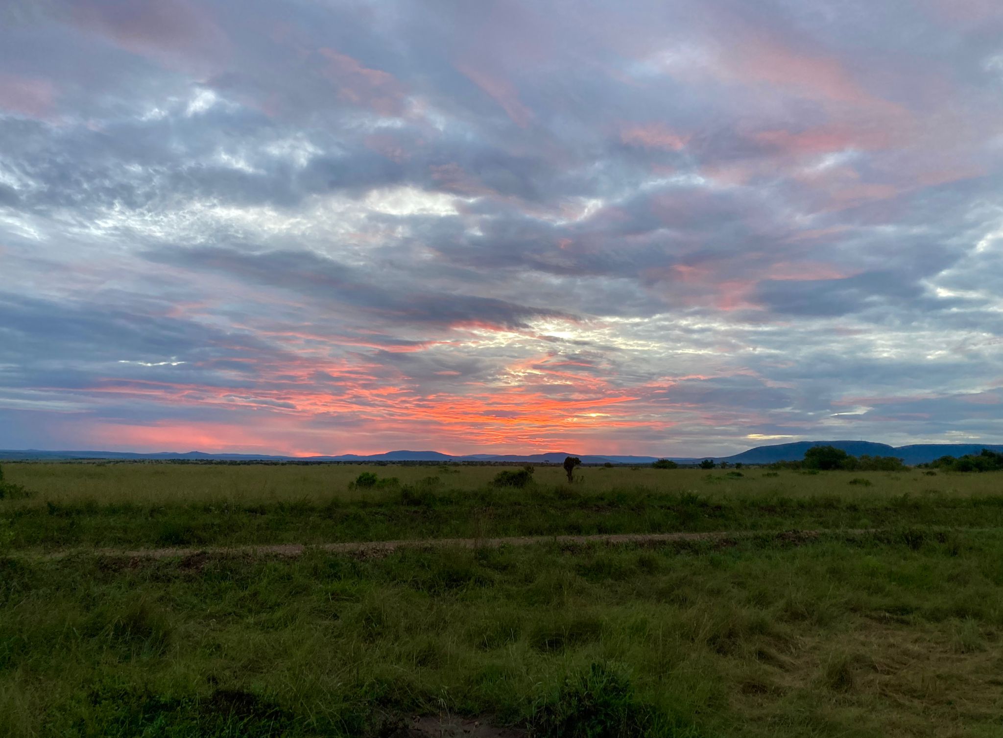 Heritawi Safaris field image: l5kVxvUwGU58StxAFy1WNk4mSYdr79HBoq8w1Pmh