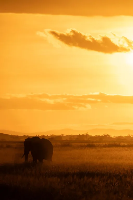 Heritawi Safaris field image: pOJAHOO5XxZeInjduDdIvIKmGBSdvPYiD6Y8qiZ0