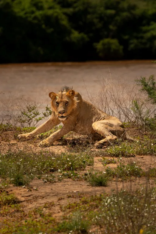Heritawi Safaris field image: t3gnIg6bhy2Re9T09kiWvNxcdazhGMhpTbubyPsl