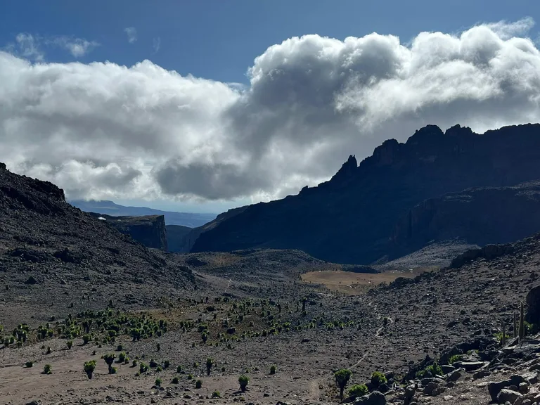 Heritawi Safaris field image: vy88s8SE3VZPqfLjEfUVauglfHAANYW7L2Ok5BHI