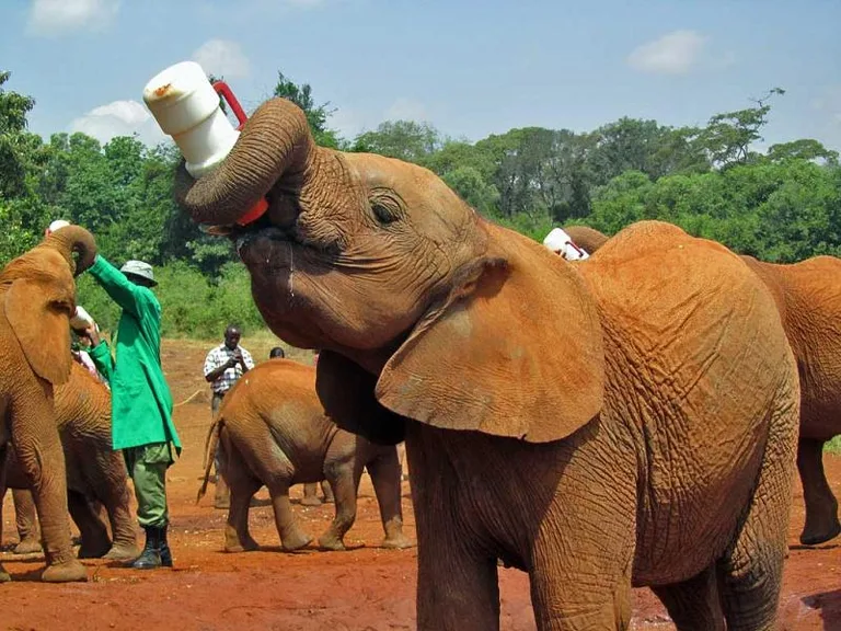 Nairobi guided cultural experiences by Heritawi Safaris