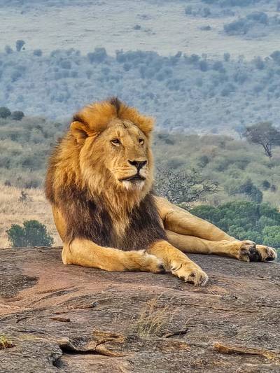 Heritawi Safaris field image: field 02