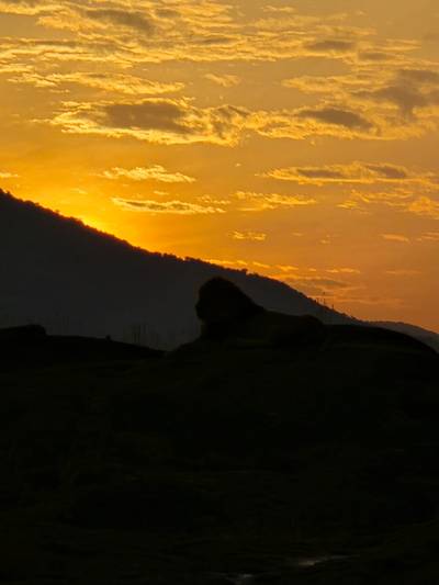 Heritawi Safaris field image: field 03