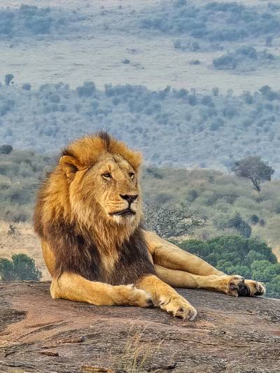 Heritawi Safaris field image: field 05