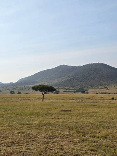 Heritawi Safaris field image: field 06