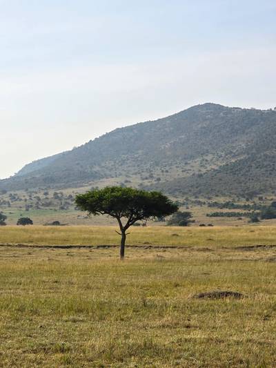Heritawi Safaris field image: field 07