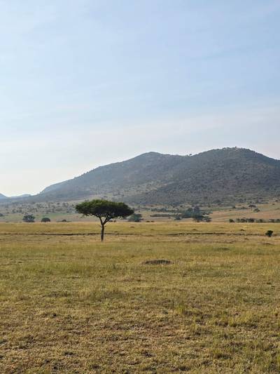 Heritawi Safaris field image: field 08