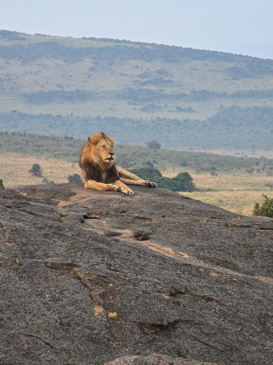 Masai Mara National Reserve, Kenya