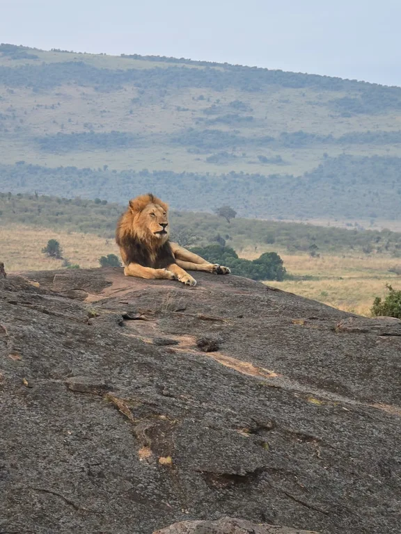 3-Day Masai Mara National Reserve | Heritawi Safaris