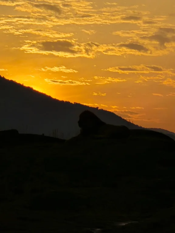 Heritawi Safaris field image: field 03
