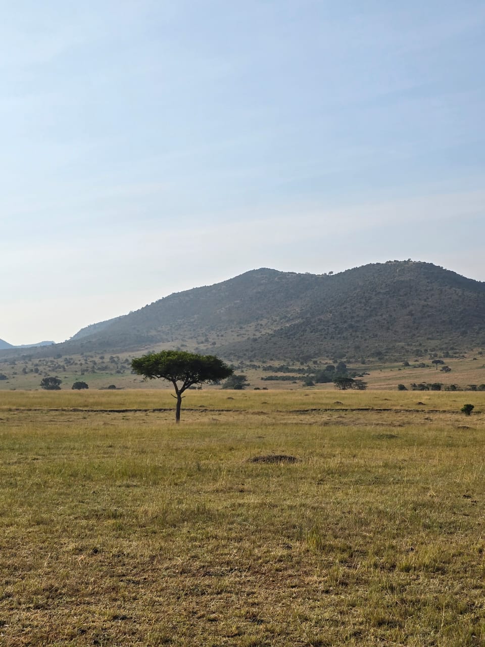 Amboseli National Park, Kenya