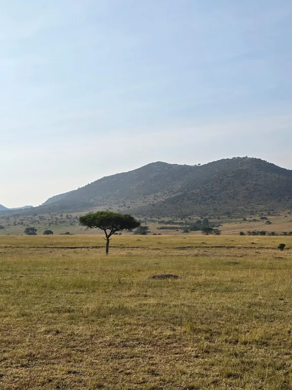 Amboseli National Park guided wildlife safaris by Heritawi Safaris