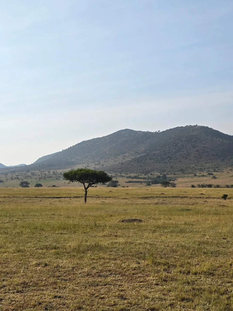 Amboseli National Park