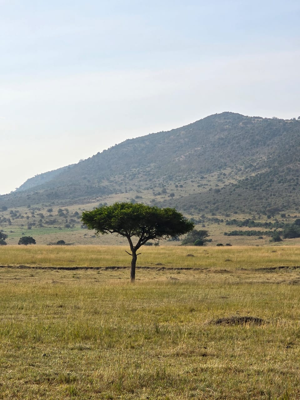 Lake Naivasha and Crescent Island, Kenya