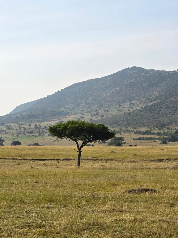 1-Day Lake Naivasha and Crescent Island | Heritawi Safaris