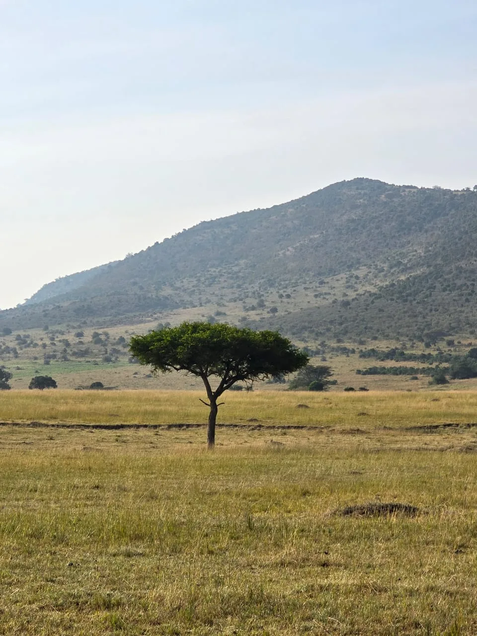 4-Day Kenya Great Rift Valley Birding Safari in Lake Naivasha and Crescent Island