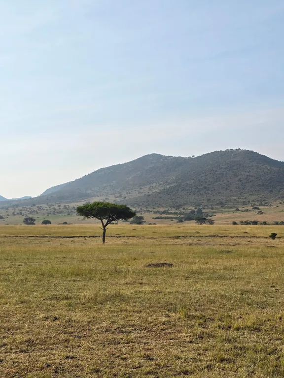 Heritawi Safaris field image: field 08