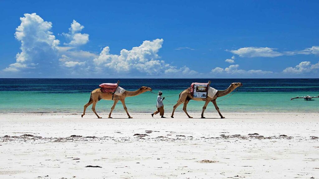 Beyond Safaris: 7 Unique Cultural Experiences in Kenya You Can't Miss