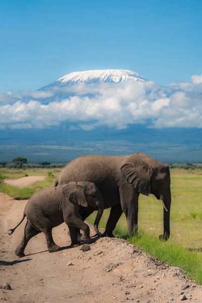 Heritawi Safaris field image: 6LMhSDuODyDvrYRlQdGbrbRFYqmbvTNu3Zr7gB0T