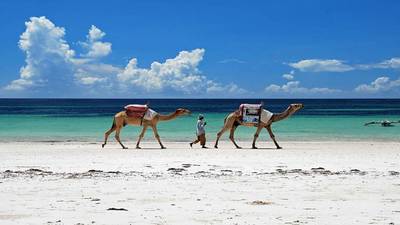 Heritawi Safaris field image: SjN7YO2iPyFXtgUOnQt0S98M1Be9ghbEs68nlXts