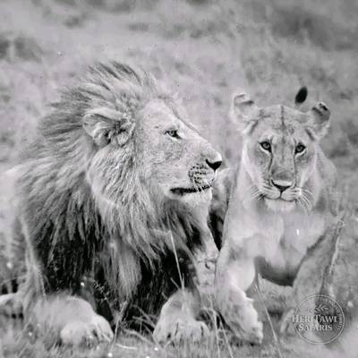 Father and son Moment
