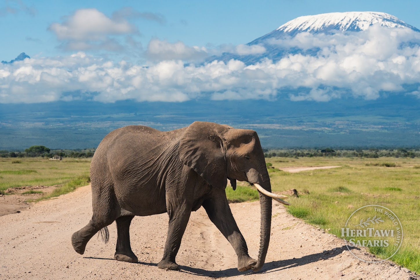 6 Days Mara, Nakuru, Amboseli Private Safari