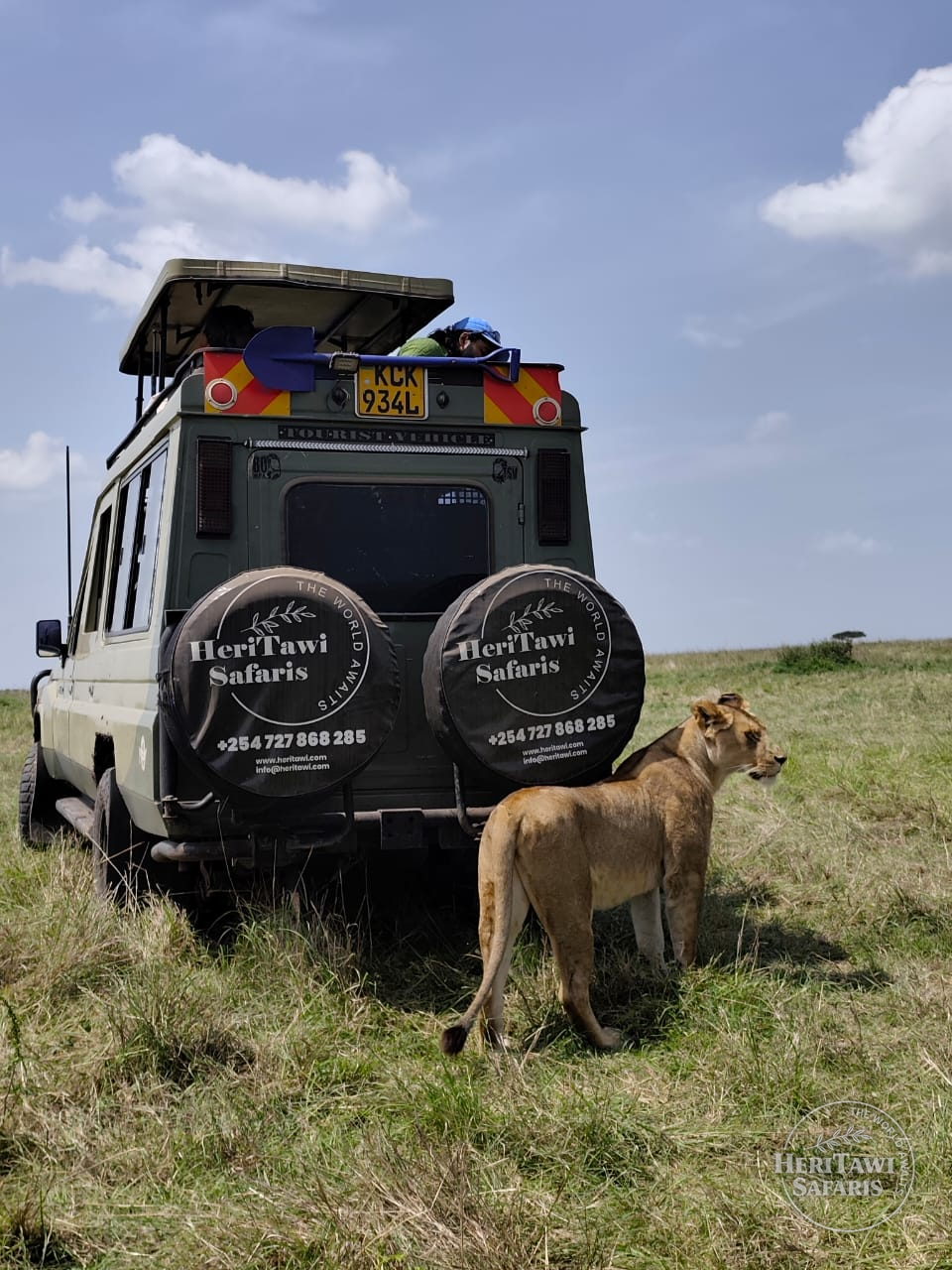3 Days Masai Mara Group Joining